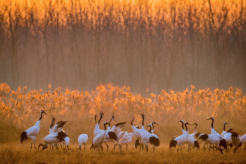 В пров. Цзянсу прошло открытие Всемирного прибрежного форума