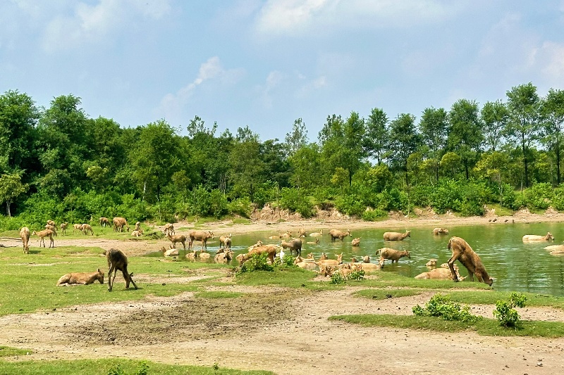 В пров. Цзянсу прошло открытие Всемирного прибрежного форума