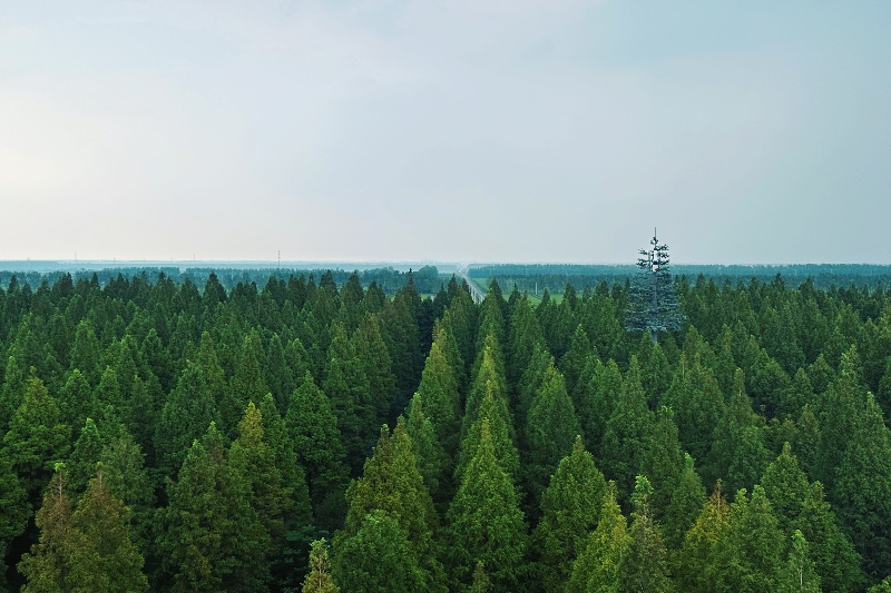 В пров. Цзянсу прошло открытие Всемирного прибрежного форума