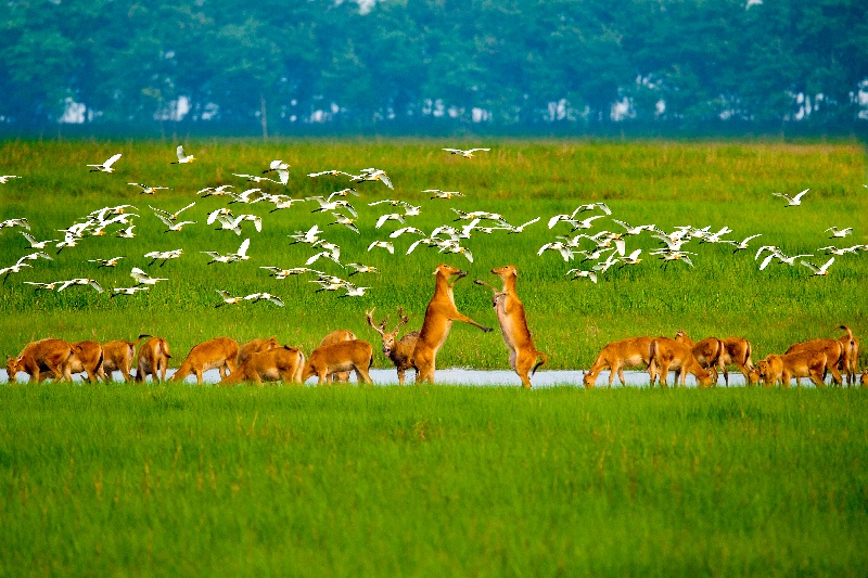 В пров. Цзянсу прошло открытие Всемирного прибрежного форума