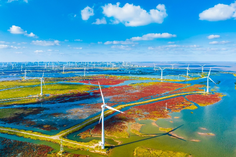 В пров. Цзянсу прошло открытие Всемирного прибрежного форума