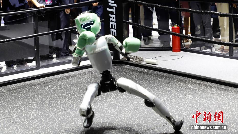 Человекоподобные роботы встретились на ринге на выставке цифровой торговли в Ханчжоу