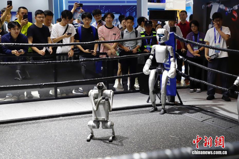 Человекоподобные роботы встретились на ринге на выставке цифровой торговли в Ханчжоу