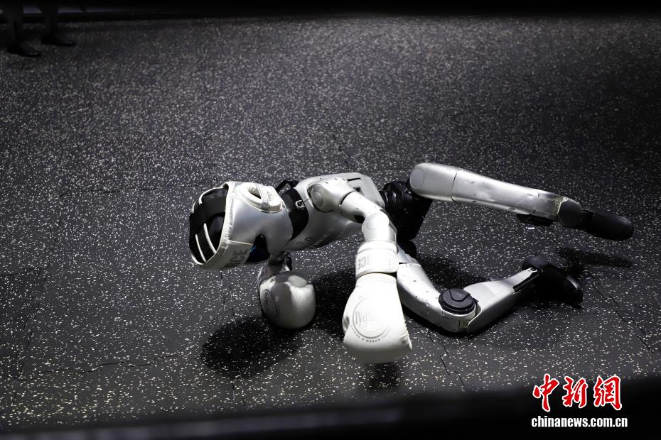 Человекоподобные роботы встретились на ринге на выставке цифровой торговли в Ханчжоу