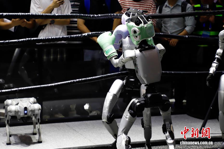 Человекоподобные роботы встретились на ринге на выставке цифровой торговли в Ханчжоу