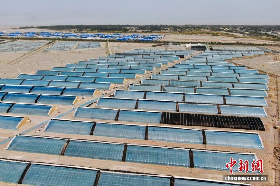 Уезд Кэпин СУАР: овощное изобилие среди бесплодной пустыни Гоби