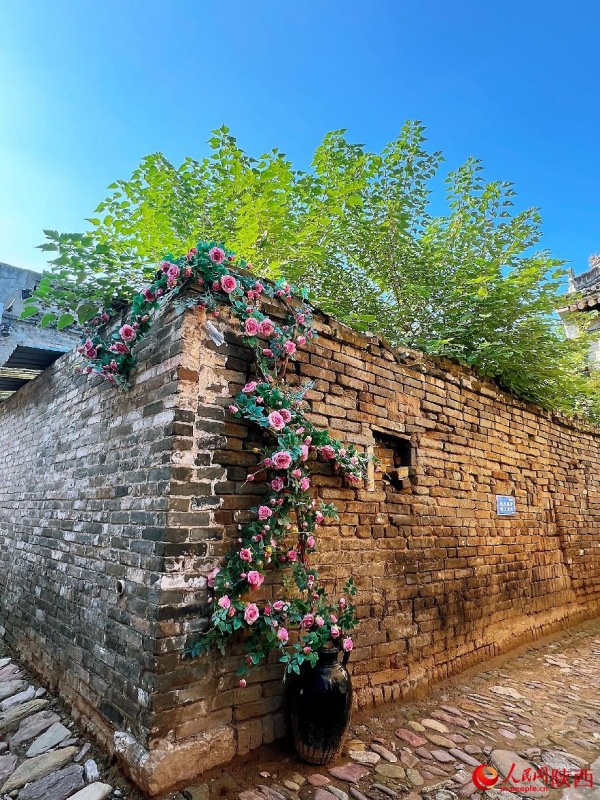 Древняя деревня провинции Шэньси — живой реликт традиционных поселений