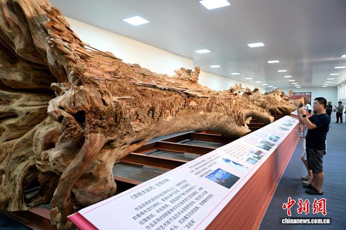 Путяньская резьба по дереву передаёт очарование городов вдоль Великого канала Пекин-Ханчжоу