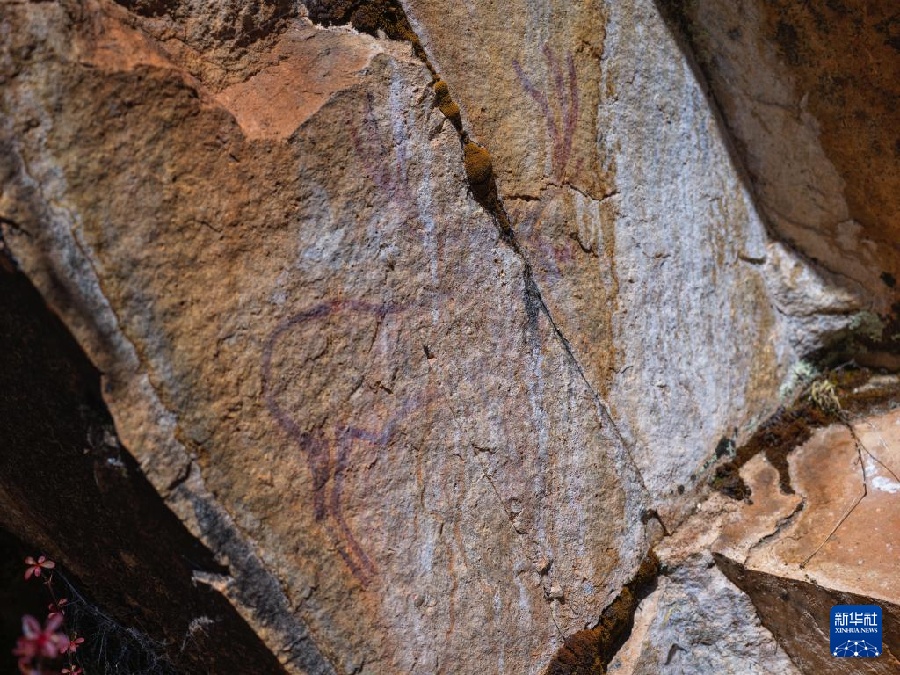 Наскальные рисунки возрастом 8000 лет в Ганьцзы-Тибетском АО Китая