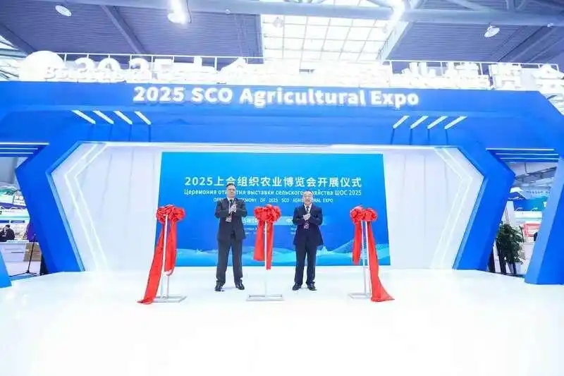 Страны ШОС укрепляют аграрное сотрудничество с помощью Демонстрационной базы в китайской провинции Шэньси