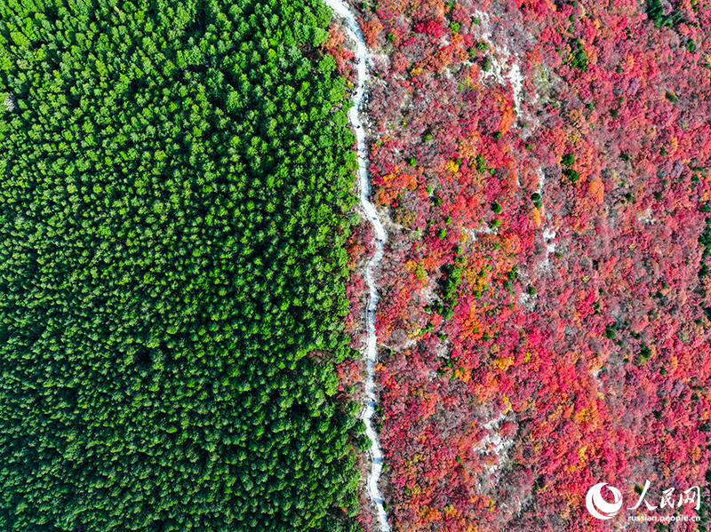 Контрастный пейзаж горы Сецзышань в Шаньдуне