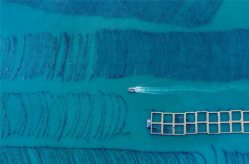 Морская экономика Китая выросла на 5,6 проц. за первые девять месяцев 2025 года