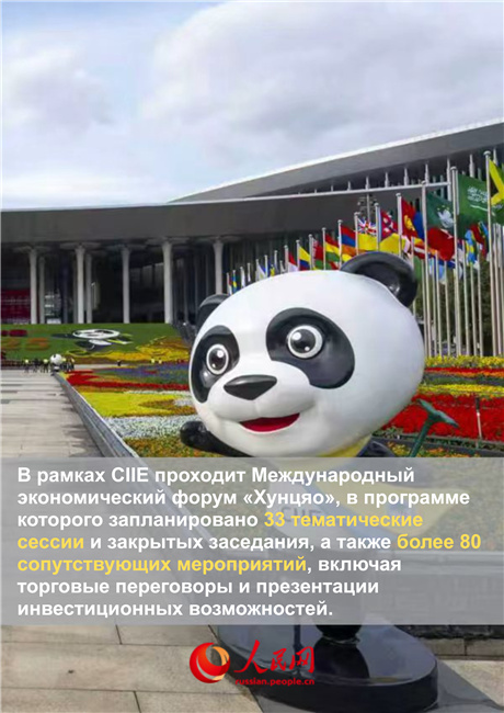 Главное о 8-м Китайском международном импортном ЭКСПО