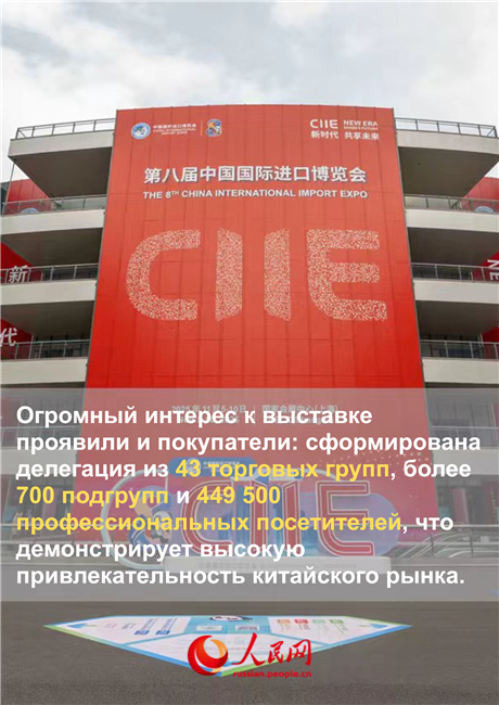 Главное о 8-м Китайском международном импортном ЭКСПО