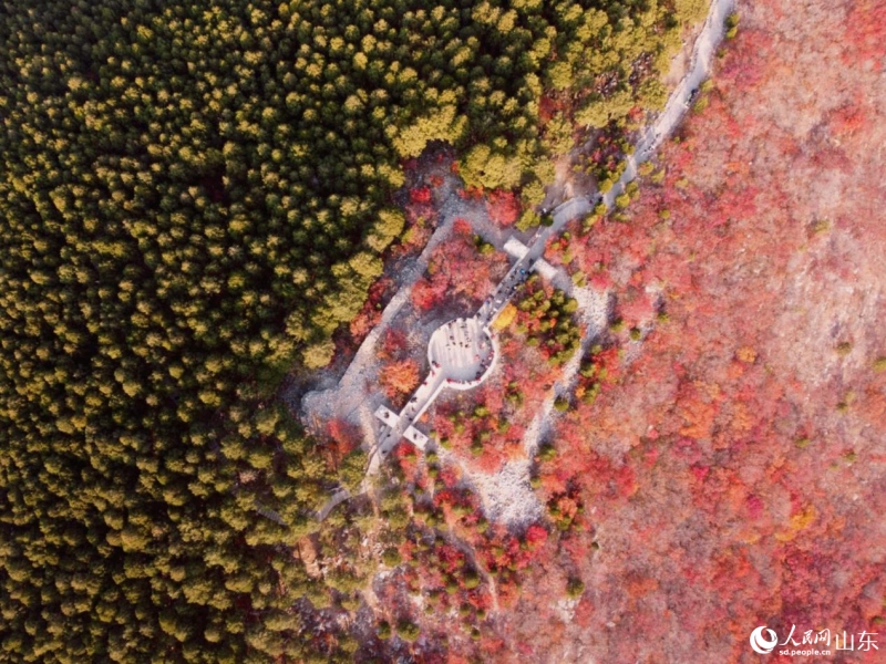 Цзинань активно развивает сеть городских экологических маршрутов