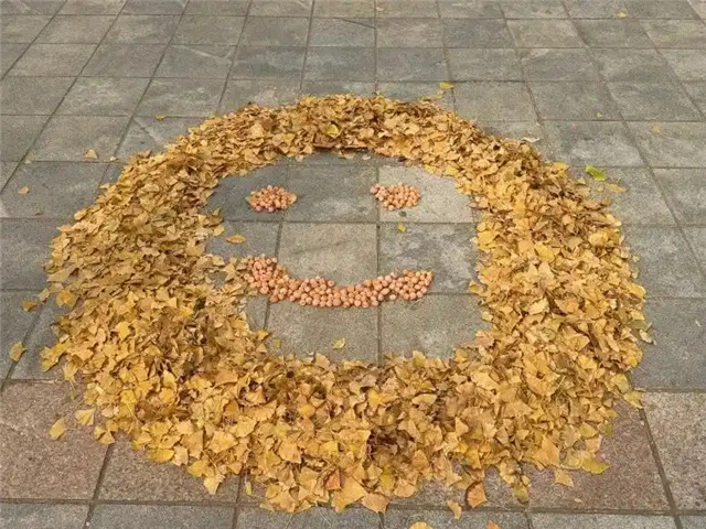 В Даляне уборщицы университета устроили осеннюю сказку из листьев гинкго