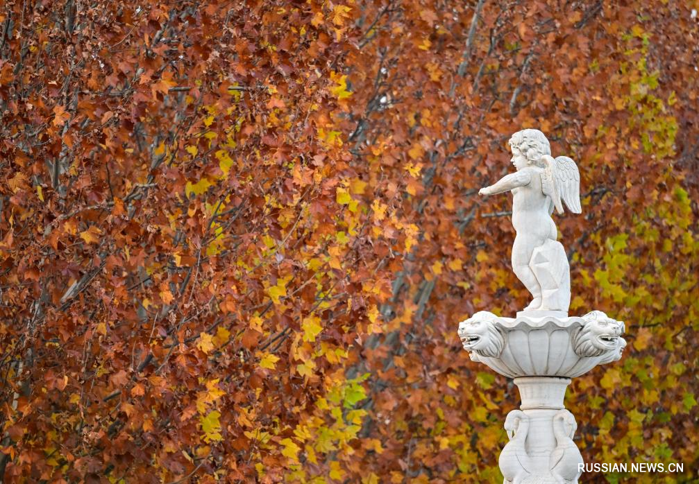 Прогулка в пекинском парке "Юаньбоюань"