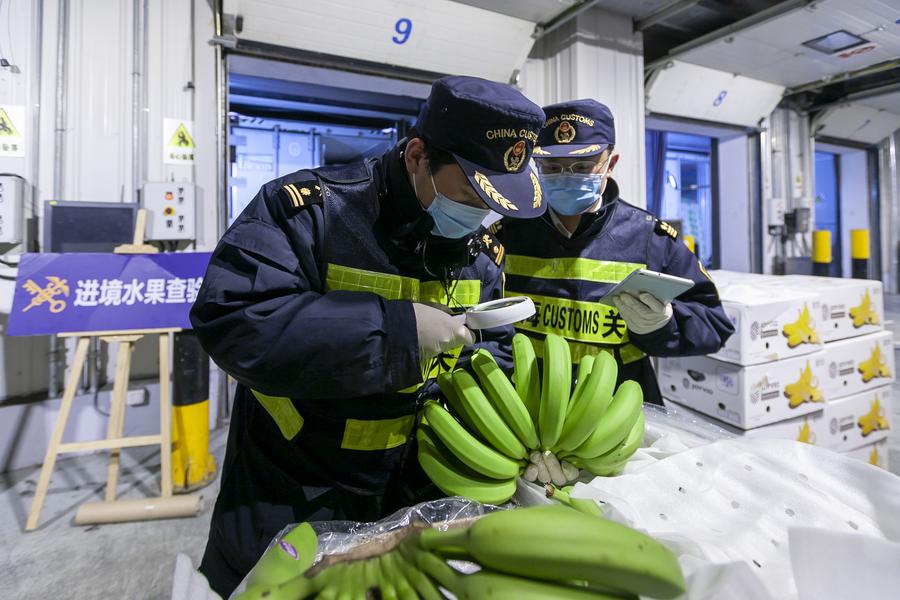 За первые 9 месяцев 2025 года импорт пищевых продуктов из стран-участниц инициативы "Пояс и путь" через КПП Шанхай вырос на 15,5 проц.