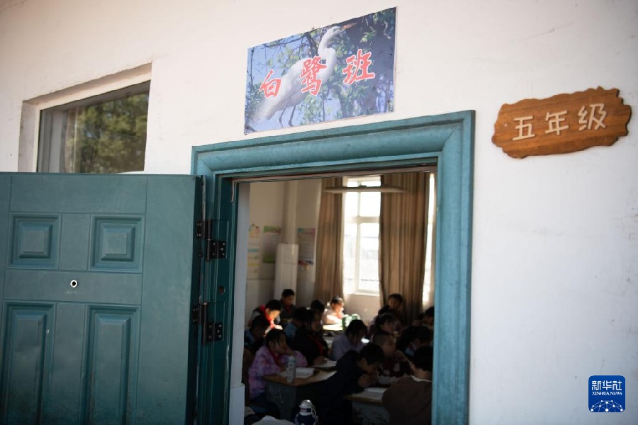 В сельской школе на востоке Китая детям прививают любовь к природе и учат беречь водно-болотные угодья