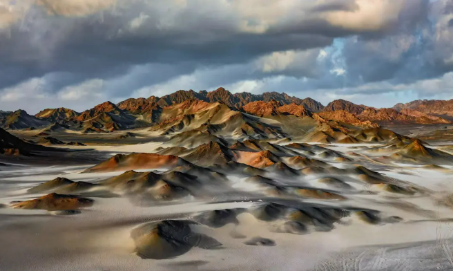 Годжи из Чайдама – «золотые» плоды высокогорья