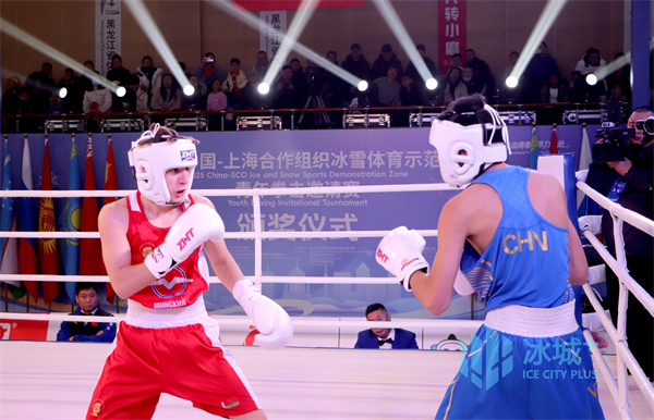 В Харбине стартовал первый турнир по боксу среди молодежи в рамах ШОС