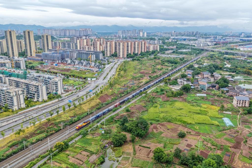 В Китае был основан новый собирательно-распределительный центр товаров холодильной цепи в рамках услуг грузовых поездов Китай-Европа