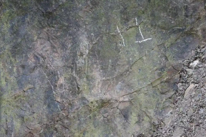 Следы динозавров возрастом около 200 млн лет найдены в Китае