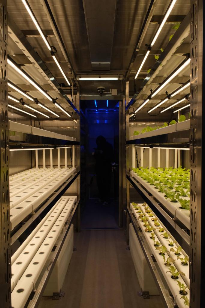 В Китае представлена интеллектуальная ферма для выращивания свежих овощей на судах