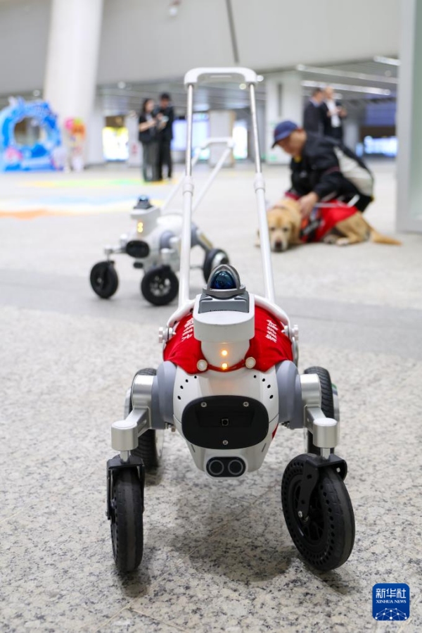 В метро Шэньчжэня начали испытания роботизированных собак-поводырей