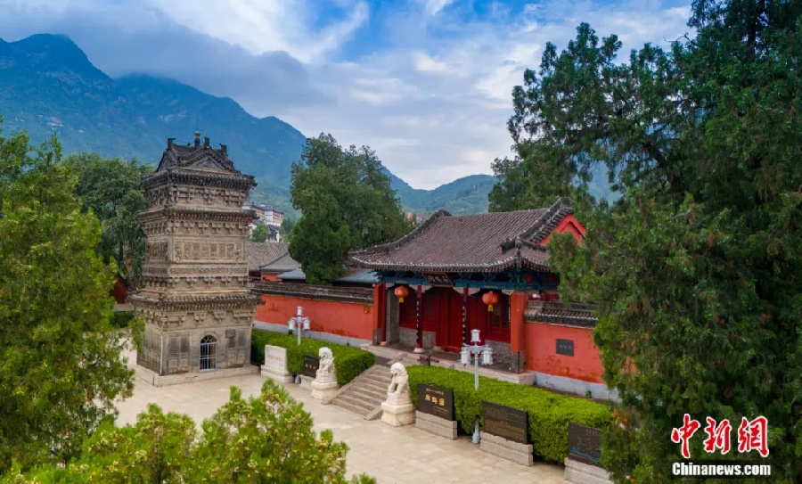 Ядра унаби приносят миллиарды: как китайский уезд зарабатывает на природном снотворном