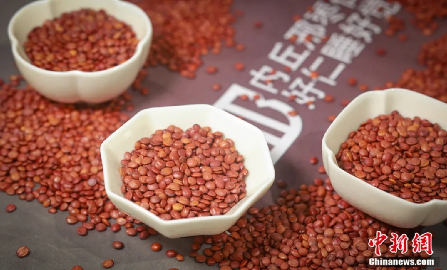 Ядра унаби приносят миллиарды: как китайский уезд зарабатывает на природном снотворном