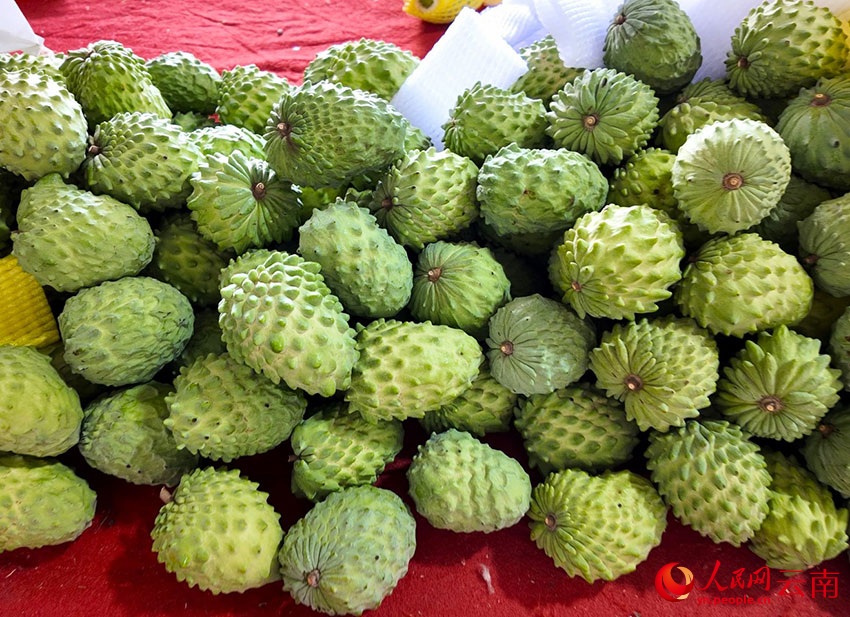 «Мороженое на дереве» в провинции Юньнань делает жизнь местных жителей еще «слаще»