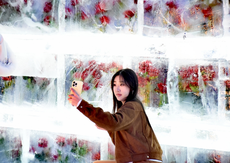 Розы во льду «расцвели» в Харбине