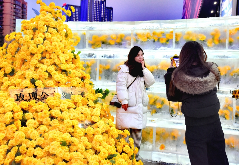 Розы во льду «расцвели» в Харбине