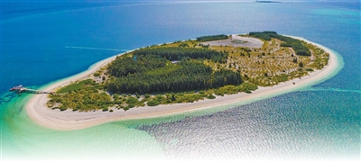 Рыбаки превратили пустынный остров в Южно-Китайском море в зеленый оазис