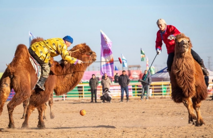 Во Внутренней Монголии стартовала Верблюжья суперлига – 2025