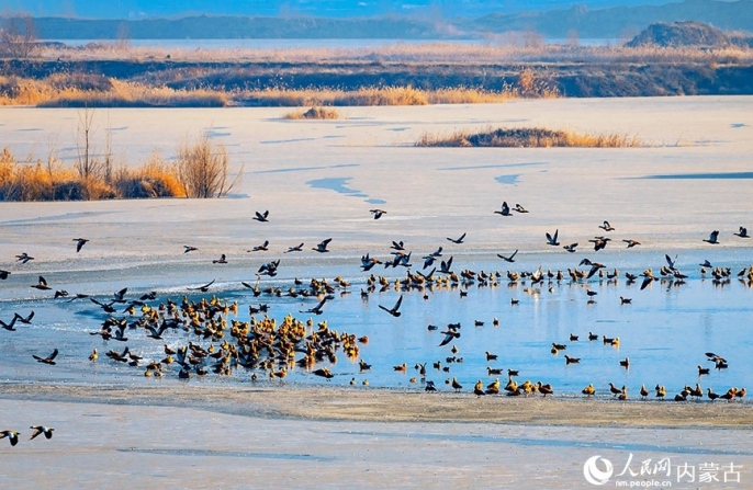 Озеро Цяньдаоху: зимняя симфония природы и экологии