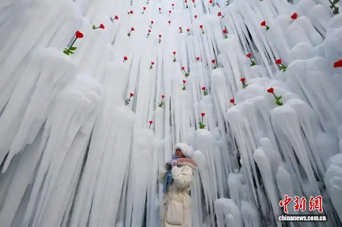 В провинции Цзилинь расцвело «ледяное сердце»