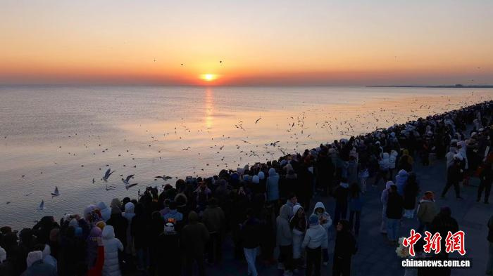 Встречая первое солнце года: тысячи человек отметили Новый год на побережье Тяньцзиня в компании чаек