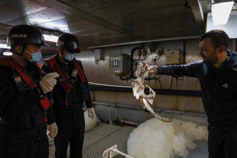 Фото: Синьхуа