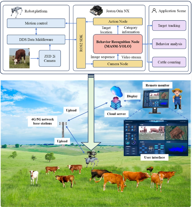 Китайские ученые разработали "умные глаза" для робота-скотовода