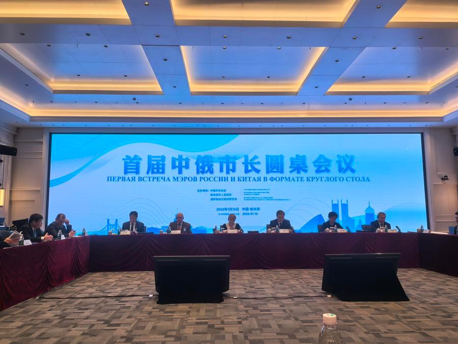 В Харбине состоялась первая встреча мэров городов Китая и России в формате Круглого стола