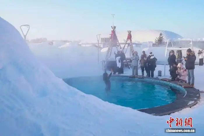 В Харбине расширяют формат зимнего туризма на фестивале «Большой мир льда и снега»