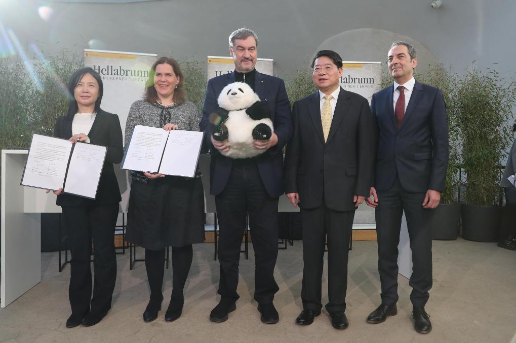 Китай отправит двух больших панд в мюнхенский зоопарк на 10 лет