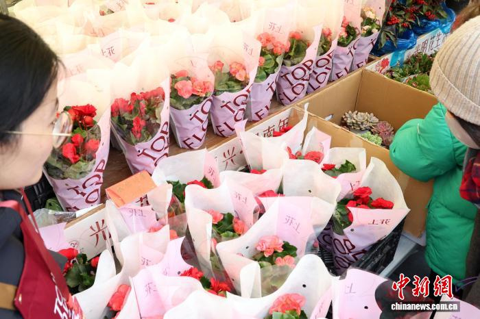 В Шанхае растёт популярность новогодней цветочной ярмарки