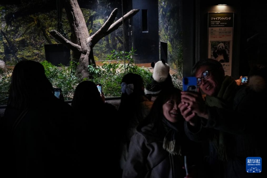 Последние остававшиеся в Японии панды отправились в Китай