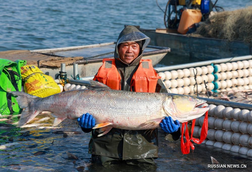 Зимняя ловля рыбы на озере Циньху на востоке Китая