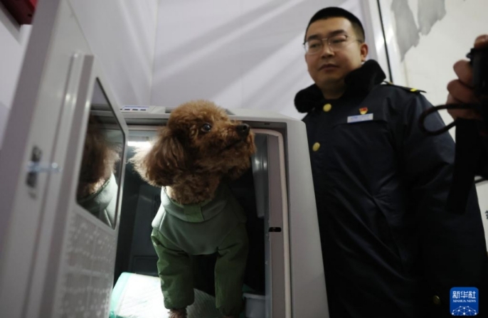 Китайские высокоскоростные поезда расширяют услуги перевозки домашних животных в период «чуньюнь»