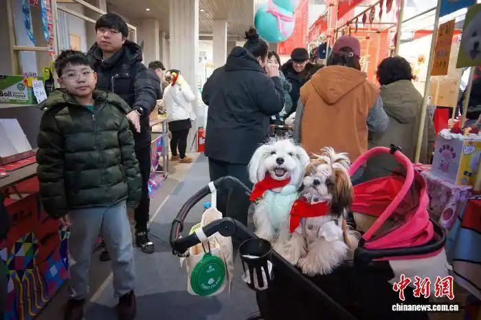 В Тяньцзине прошел фестиваль новогодних товаров для домашних животных
