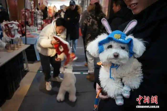В Тяньцзине прошел фестиваль новогодних товаров для домашних животных